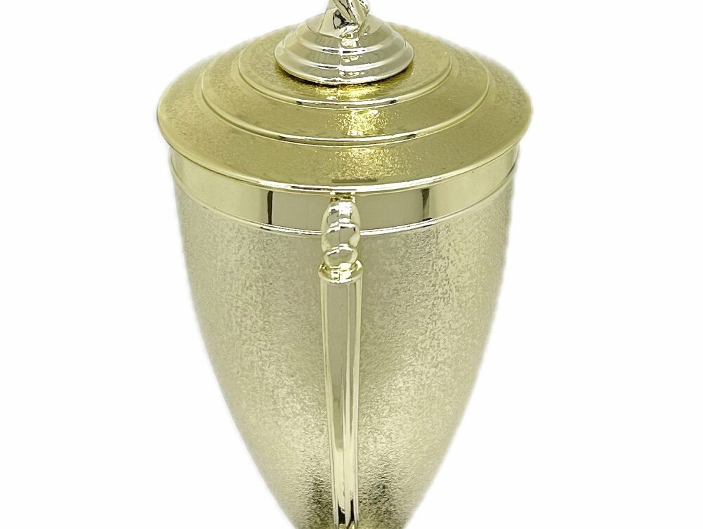 Swimmer Female Trophy 345mm
