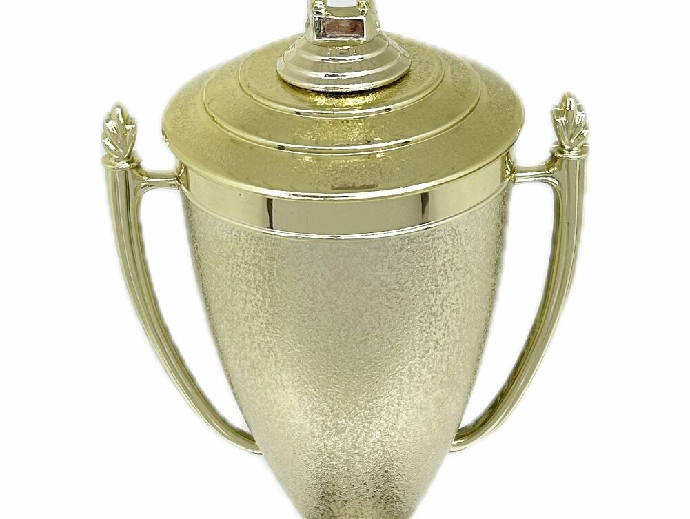 Swimmer Female Trophy 345mm