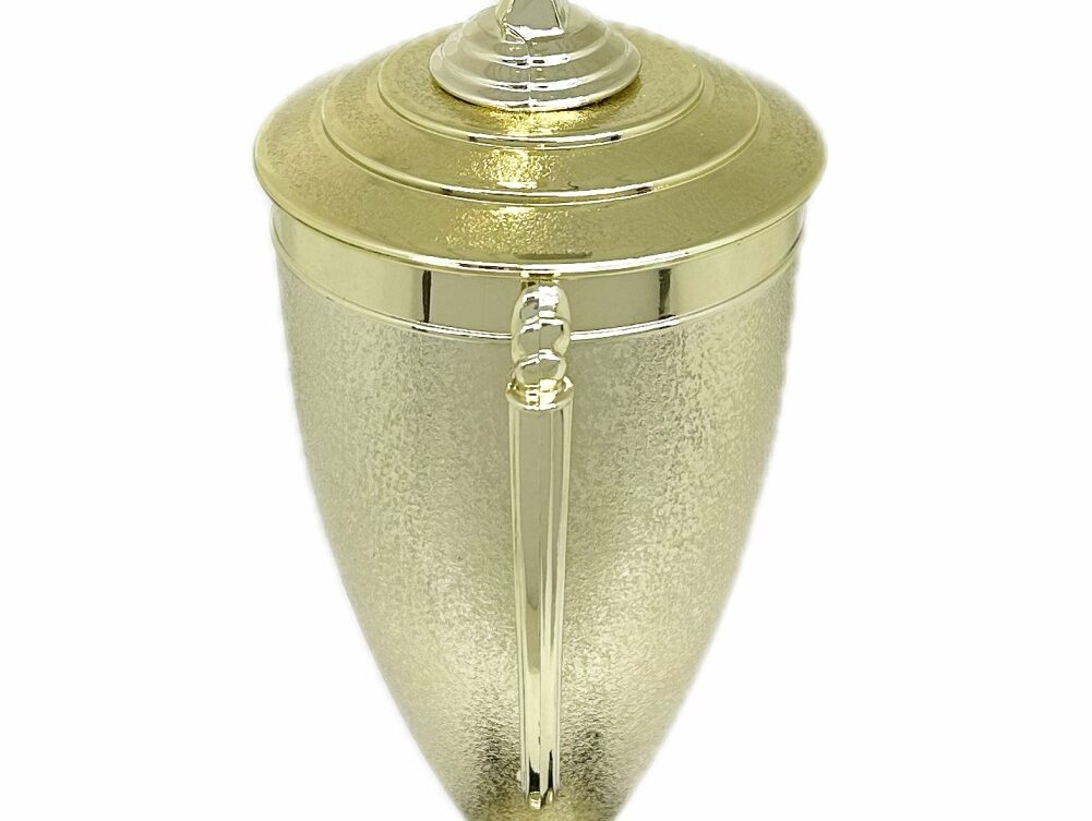 Swimmer Female Trophy 345mm