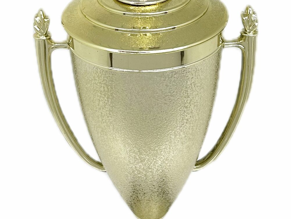 Swimmer Female Trophy 385mm