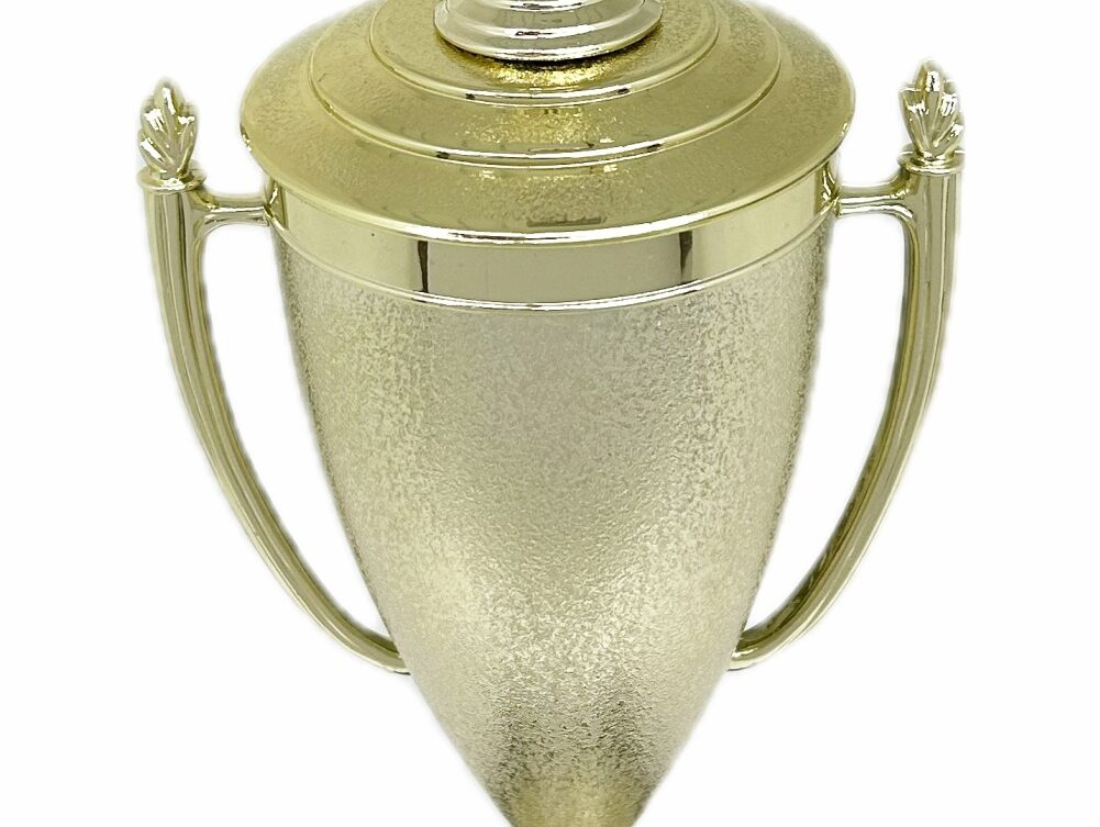 Swimmer Female Trophy 385mm