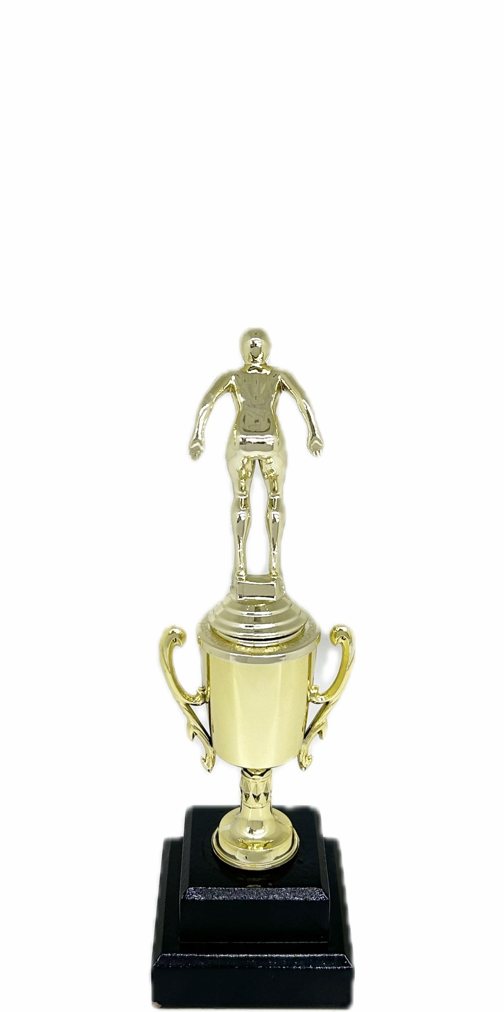 Swimmer Female Trophy 245mm