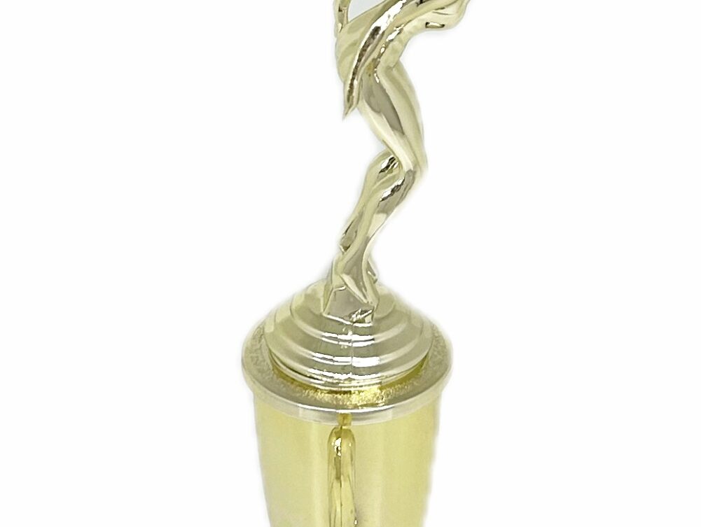 Swimmer Female Trophy 270mm