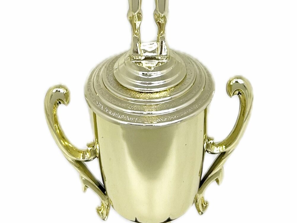 Swimmer Female Trophy 305mm