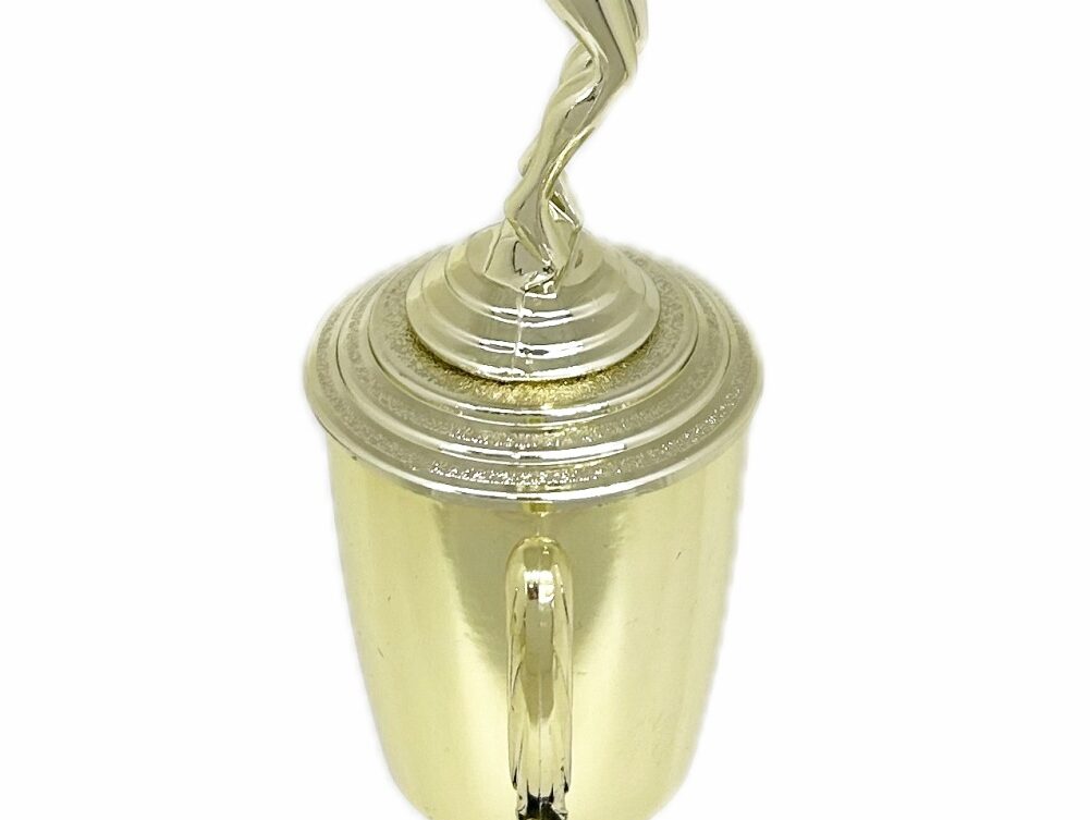 Swimmer Female Trophy 305mm