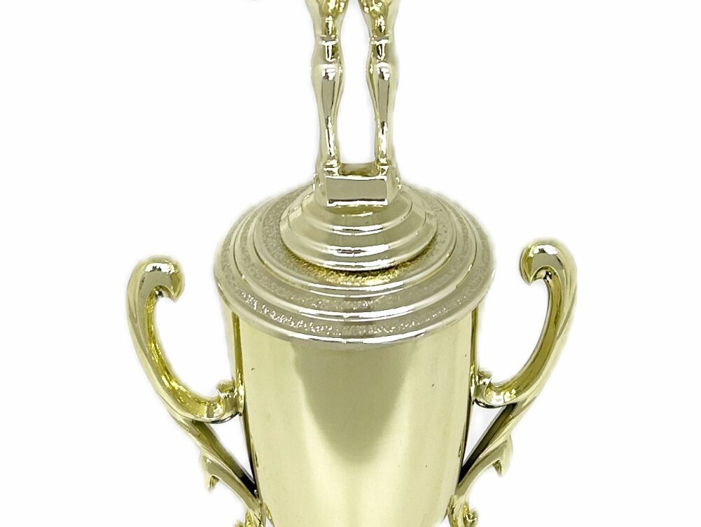 Swimmer Female Trophy 305mm
