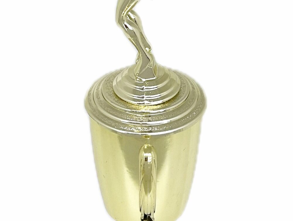 Swimmer Female Trophy 305mm