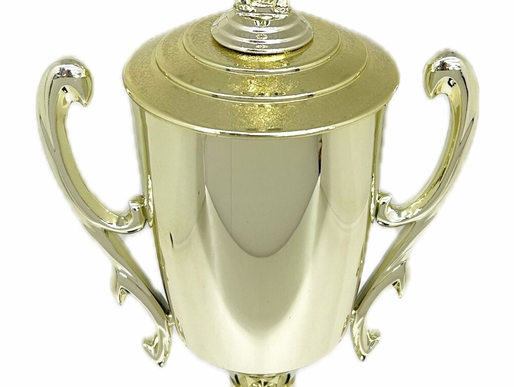 Swimmer Female Trophy 345mm