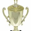 Swimmer Female Trophy 345mm