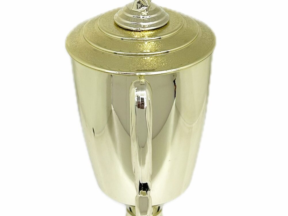 Swimmer Female Trophy 345mm