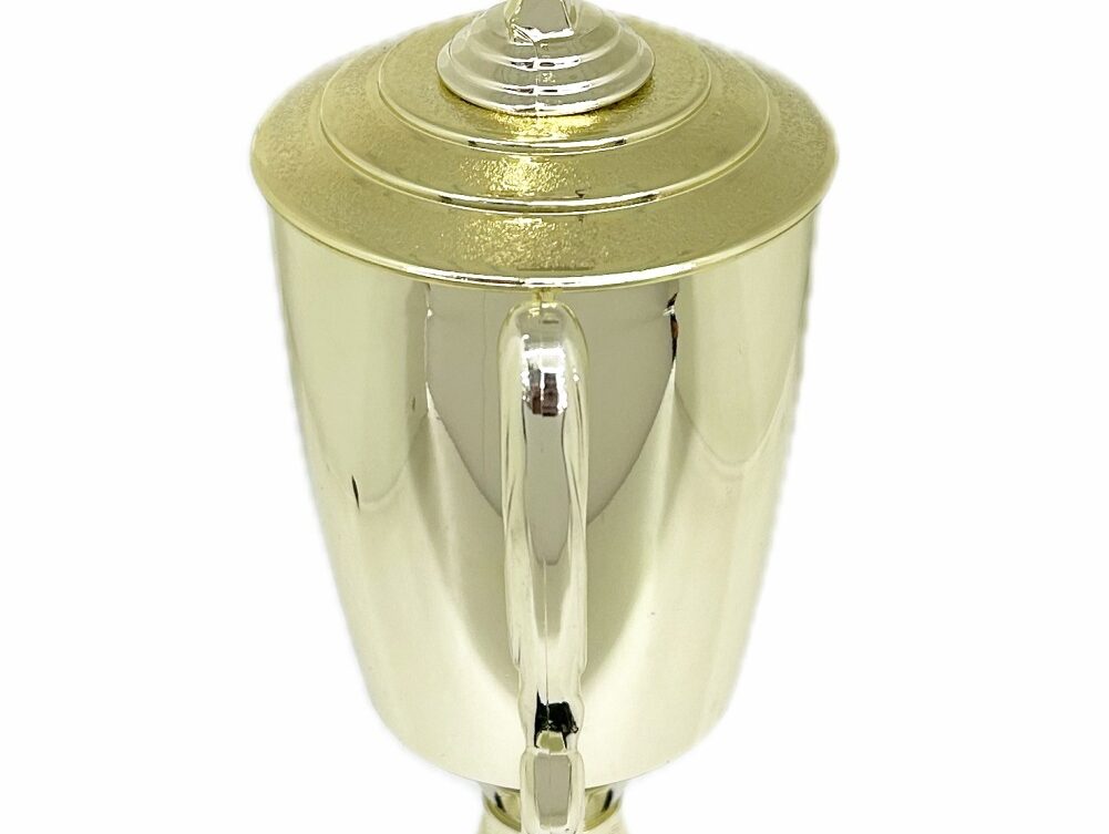 Swimmer Female Trophy 345mm