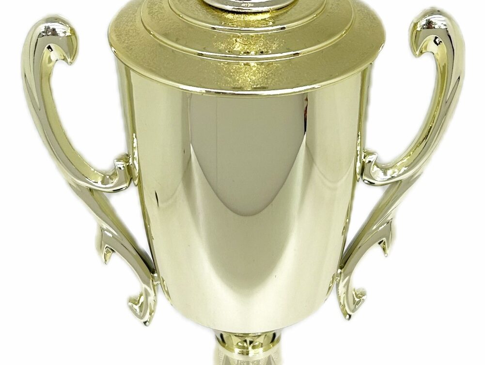 Swimmer Female Trophy 385mm