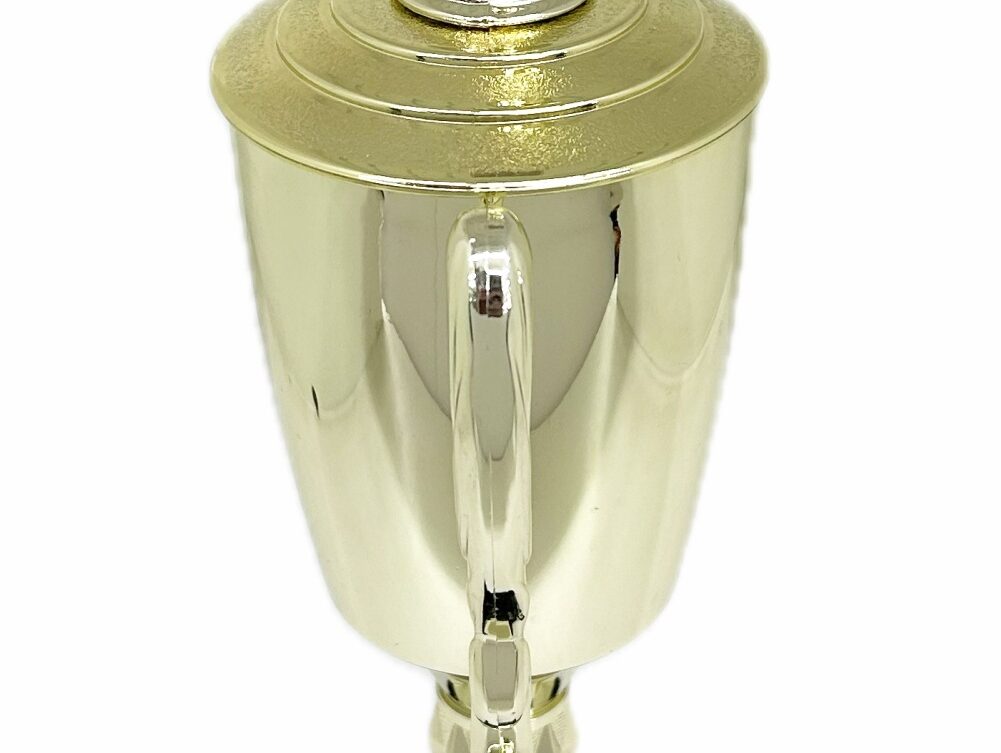 Swimmer Female Trophy 385mm