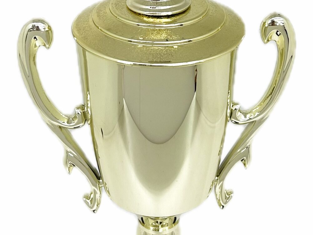 Swimmer Female Trophy 385mm
