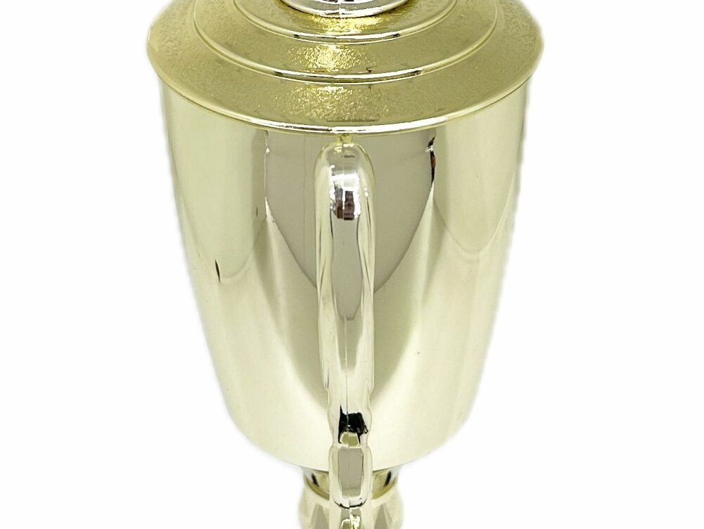 Swimmer Female Trophy 385mm