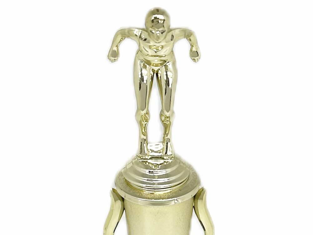 Swimmer Female Trophy 245mm
