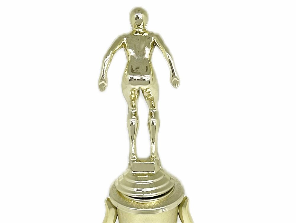 Swimmer Female Trophy 245mm