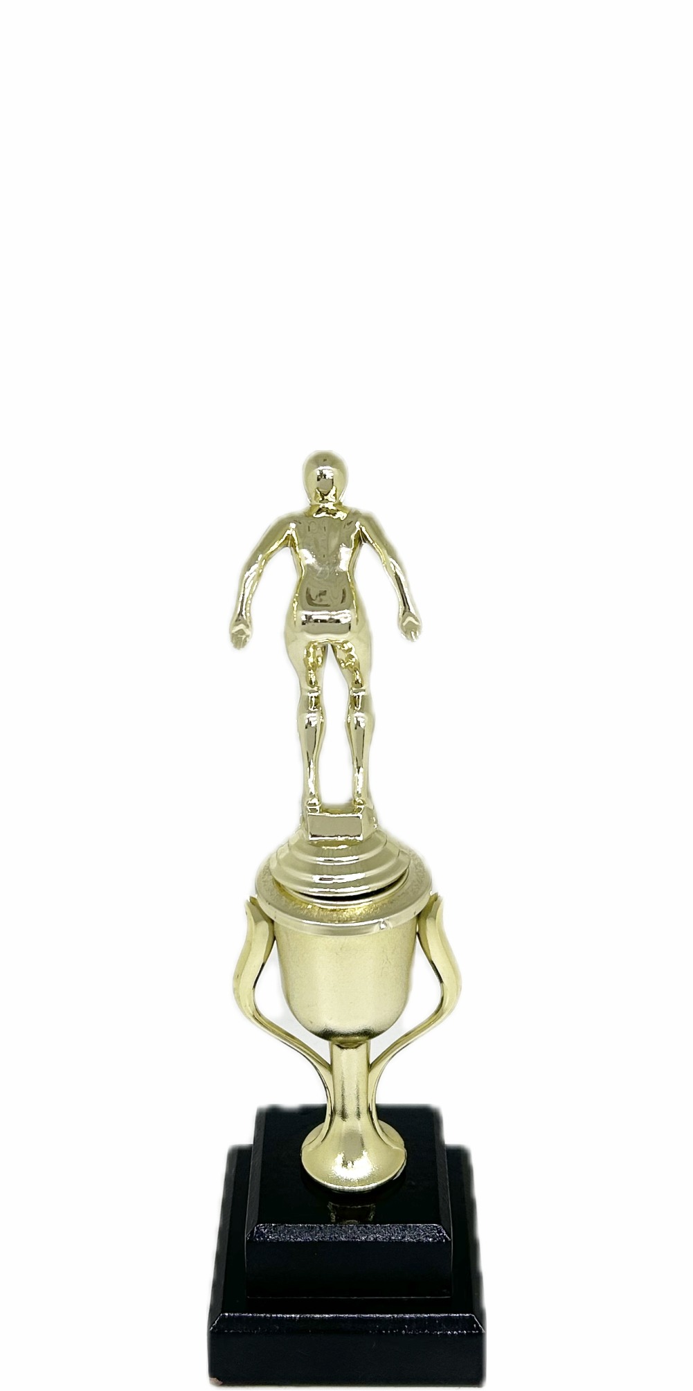 Swimmer Female Trophy 245mm