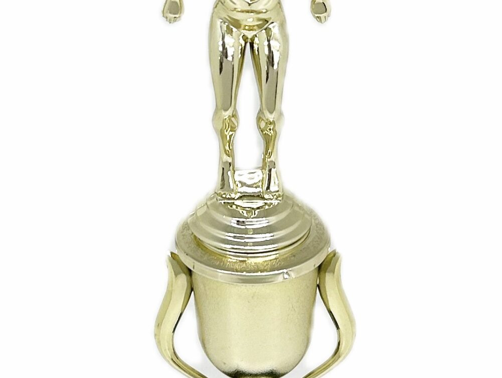 Swimmer Female Trophy 270mm