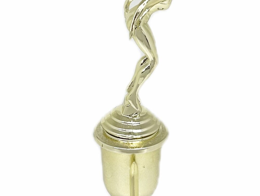 Swimmer Female Trophy 270mm