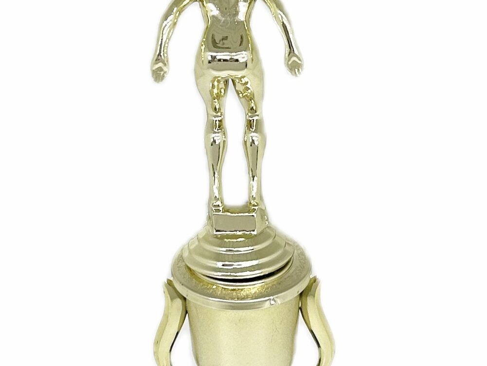Swimmer Female Trophy 270mm