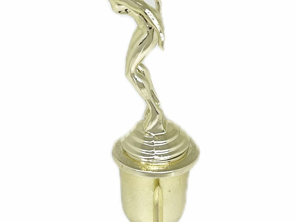 Swimmer Female Trophy 270mm