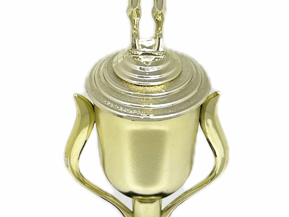Swimmer Female Trophy 305mm
