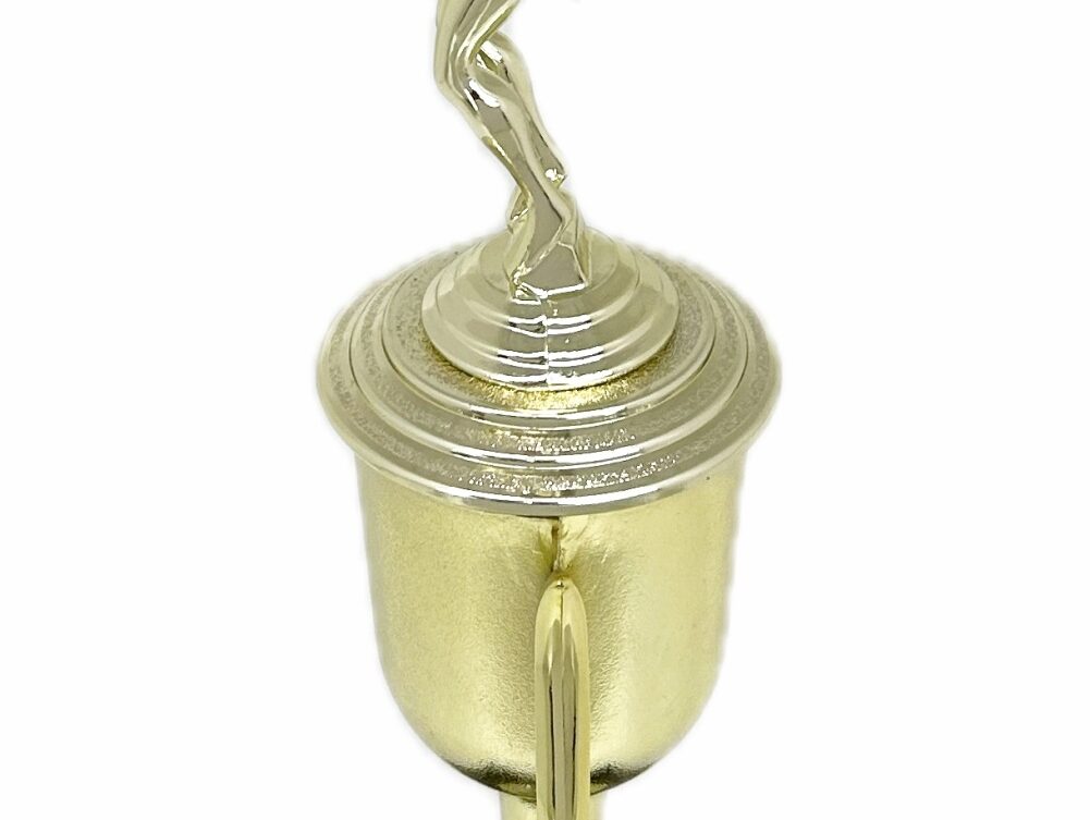 Swimmer Female Trophy 305mm