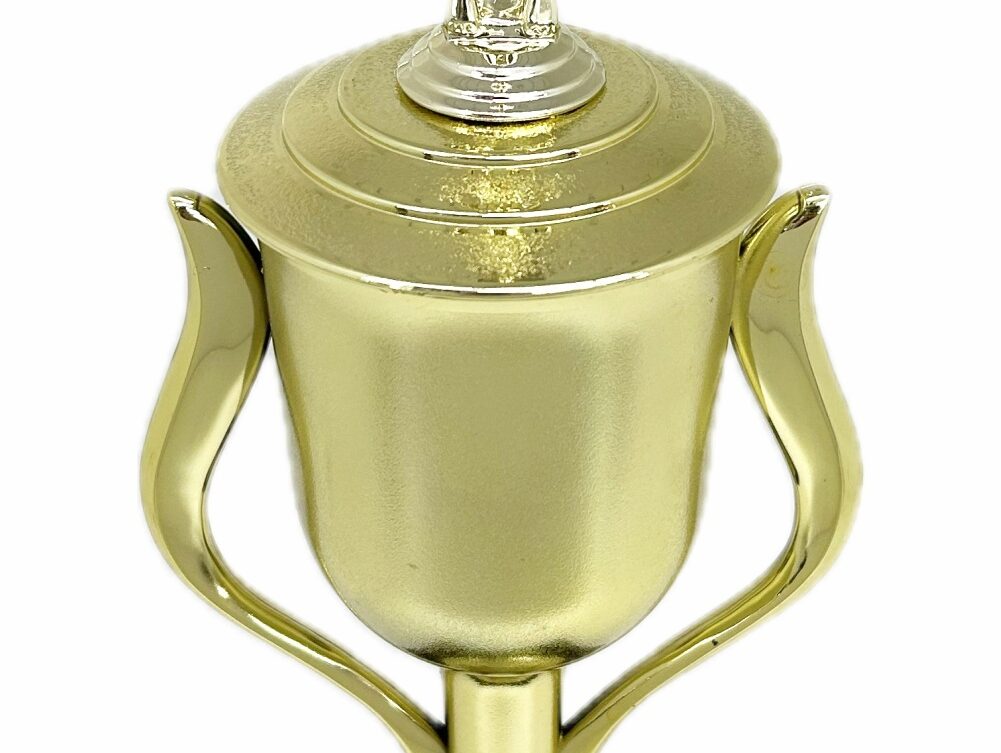 Swimmer Female Trophy 345mm
