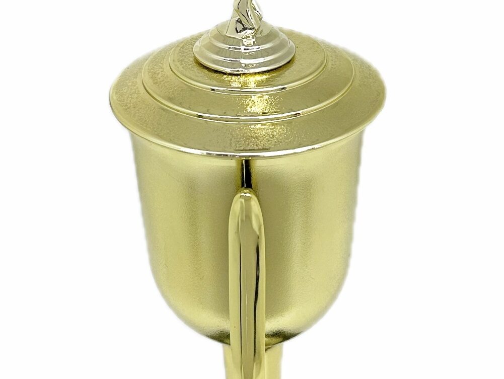 Swimmer Female Trophy 345mm