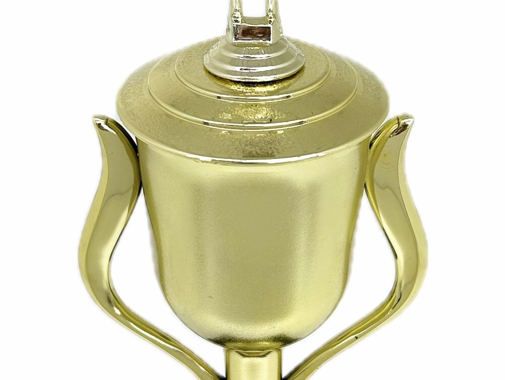Swimmer Female Trophy 345mm