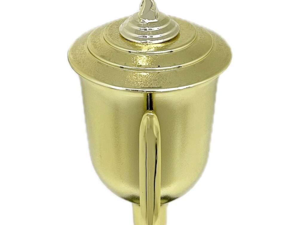 Swimmer Female Trophy 345mm