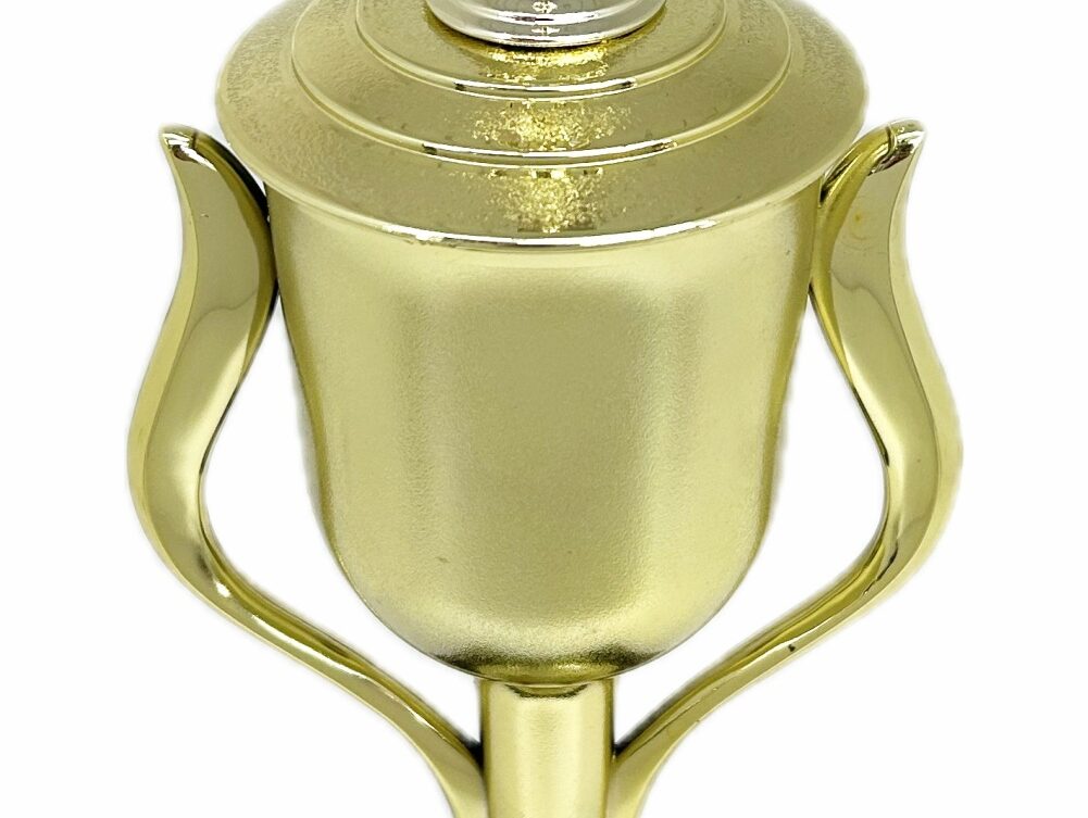 Swimmer Female Trophy 385mm