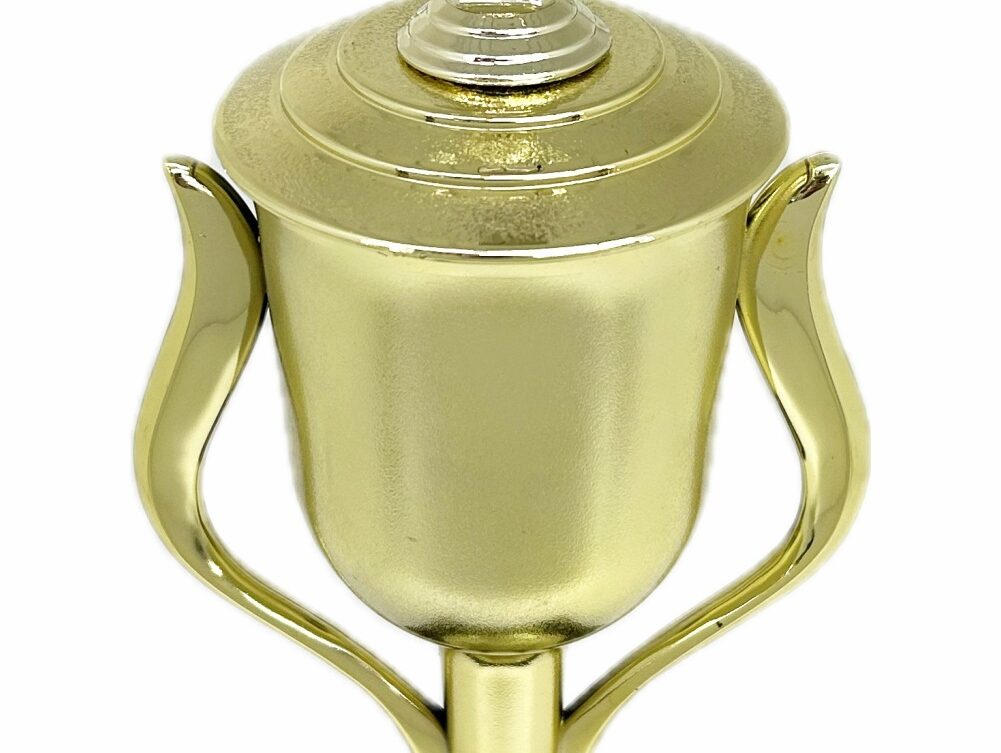 Swimmer Female Trophy 385mm