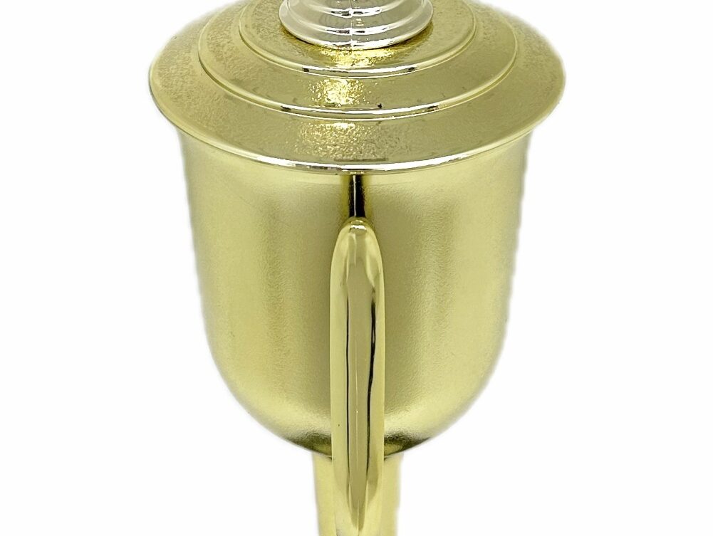 Swimmer Female Trophy 385mm