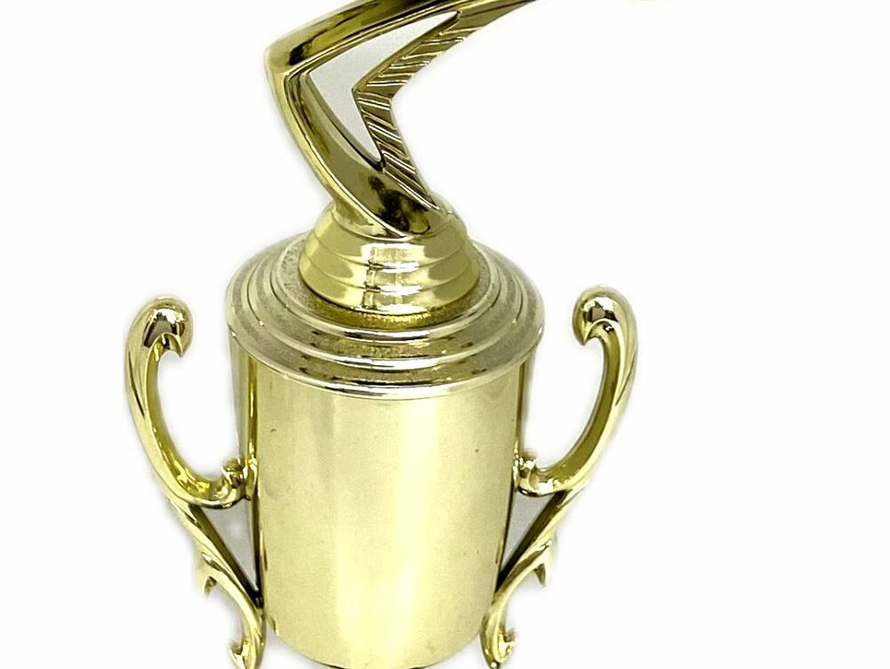 Stock Car Trophy 290mm
