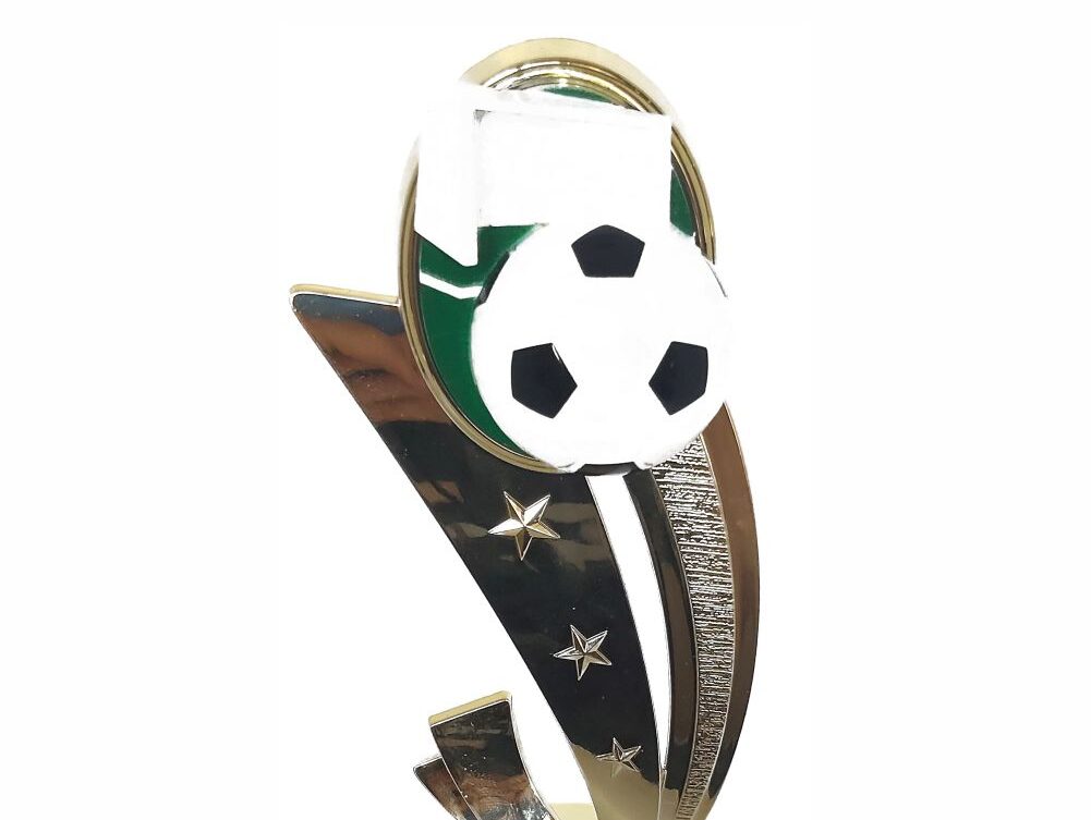 Soccer Sport Scene Trophy 250mm