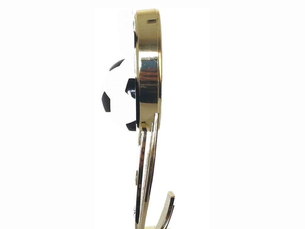 Soccer Sport Scene Trophy 250mm