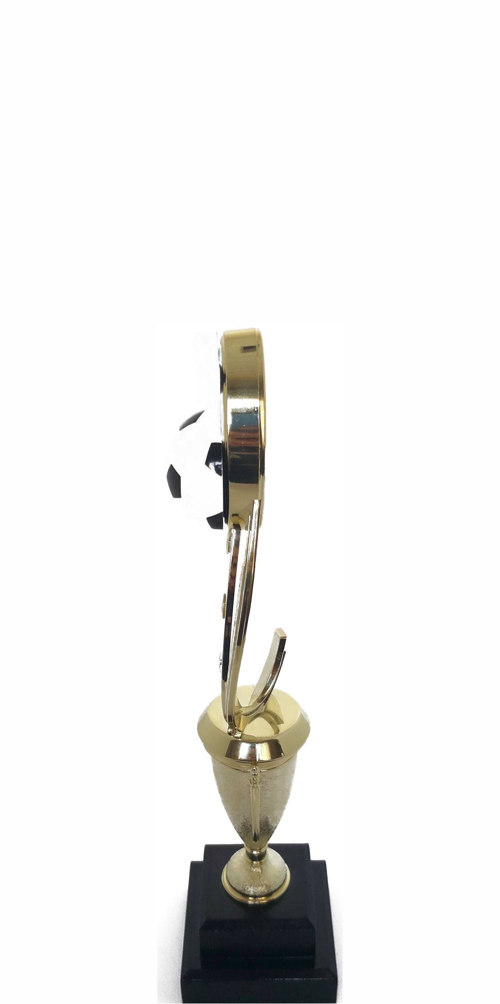Soccer Sport Scene Trophy 250mm