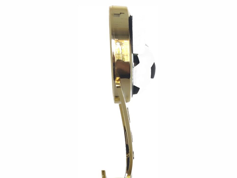 Soccer Sport Scene Trophy 250mm