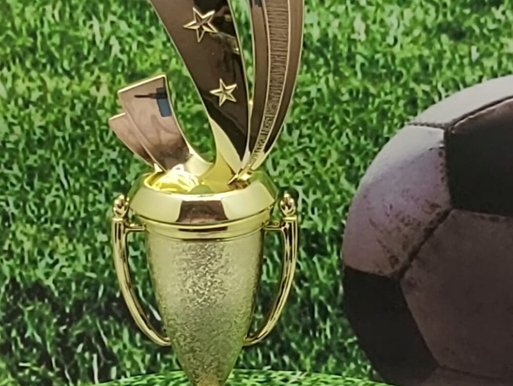 Soccer Sport Scene Trophy 250mm