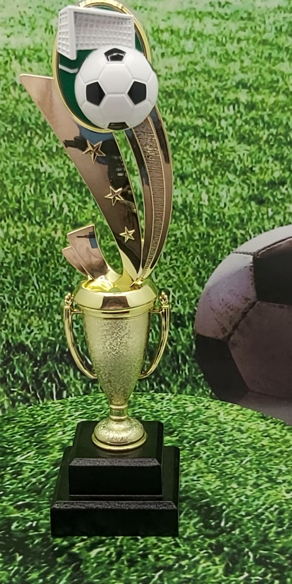 Soccer Sport Scene Trophy 250mm