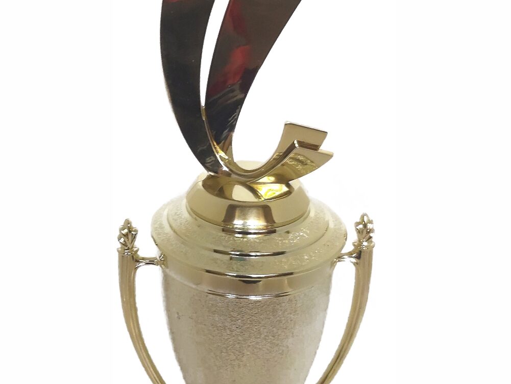 Soccer Sport Scene Trophy 350mm