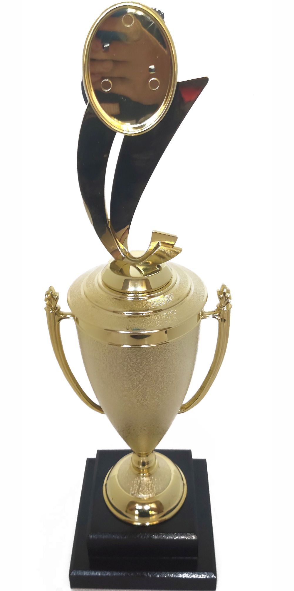 Soccer Sport Scene Trophy 390mm