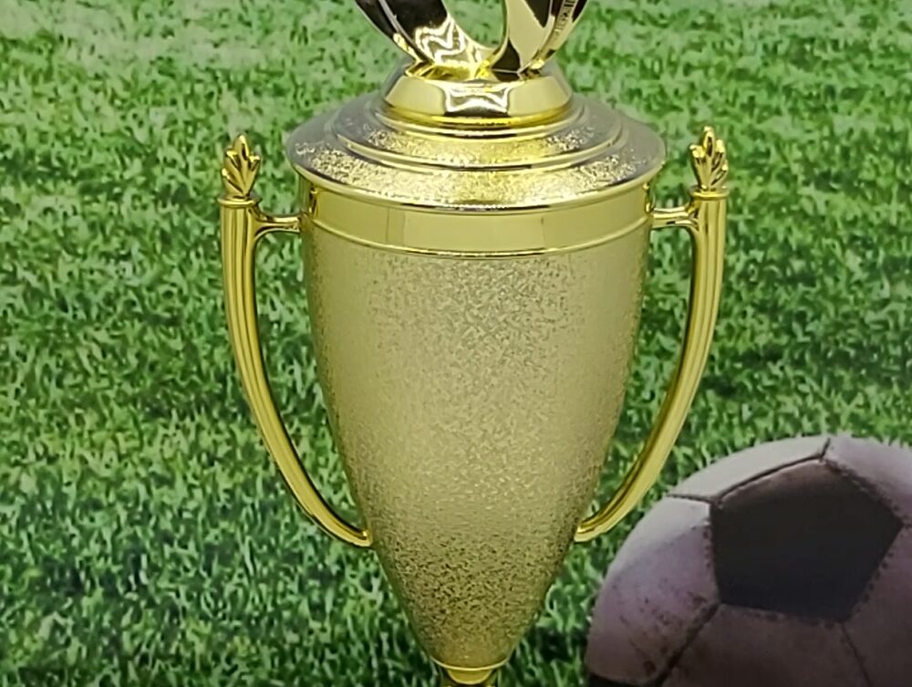 Soccer Sport Scene Trophy 350mm