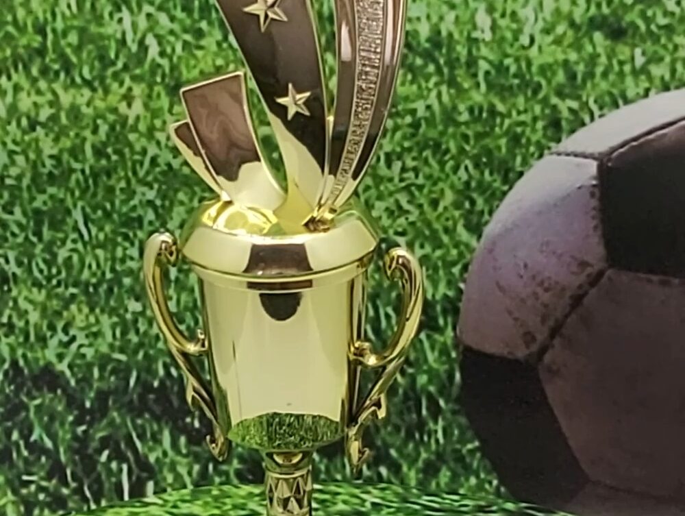 Soccer Sport Scene Trophy 275mm