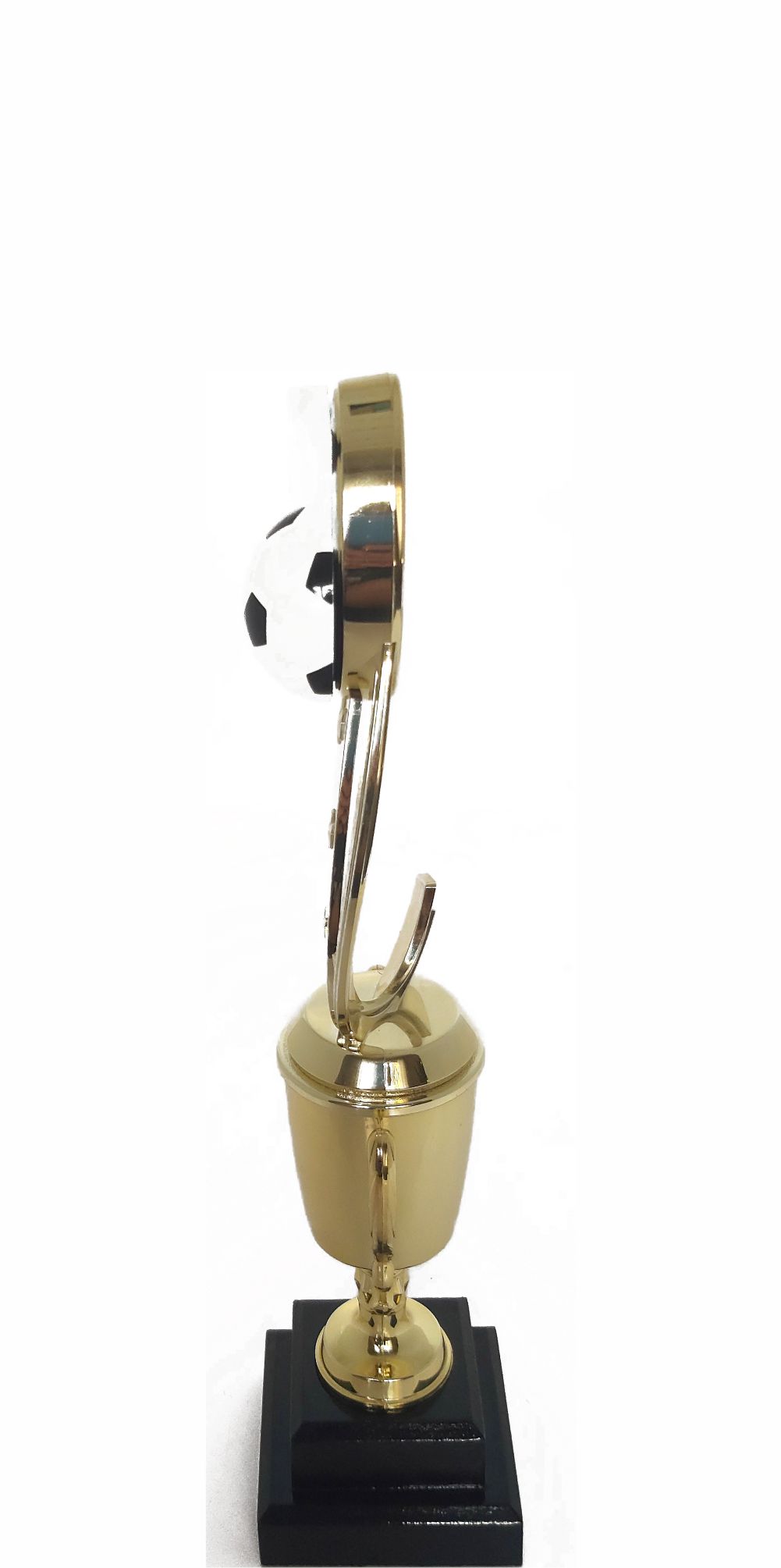 Soccer Sport Scene Trophy 275mm
