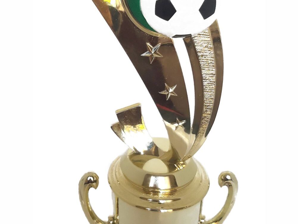 Soccer Sport Scene Trophy 310mm