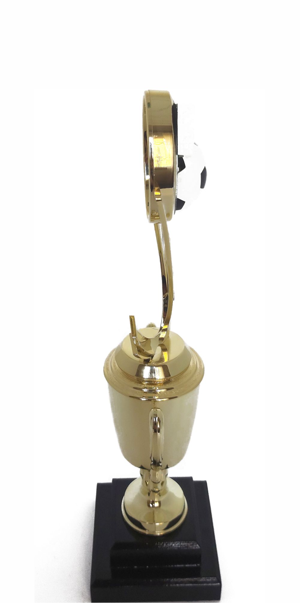 Soccer Sport Scene Trophy 310mm