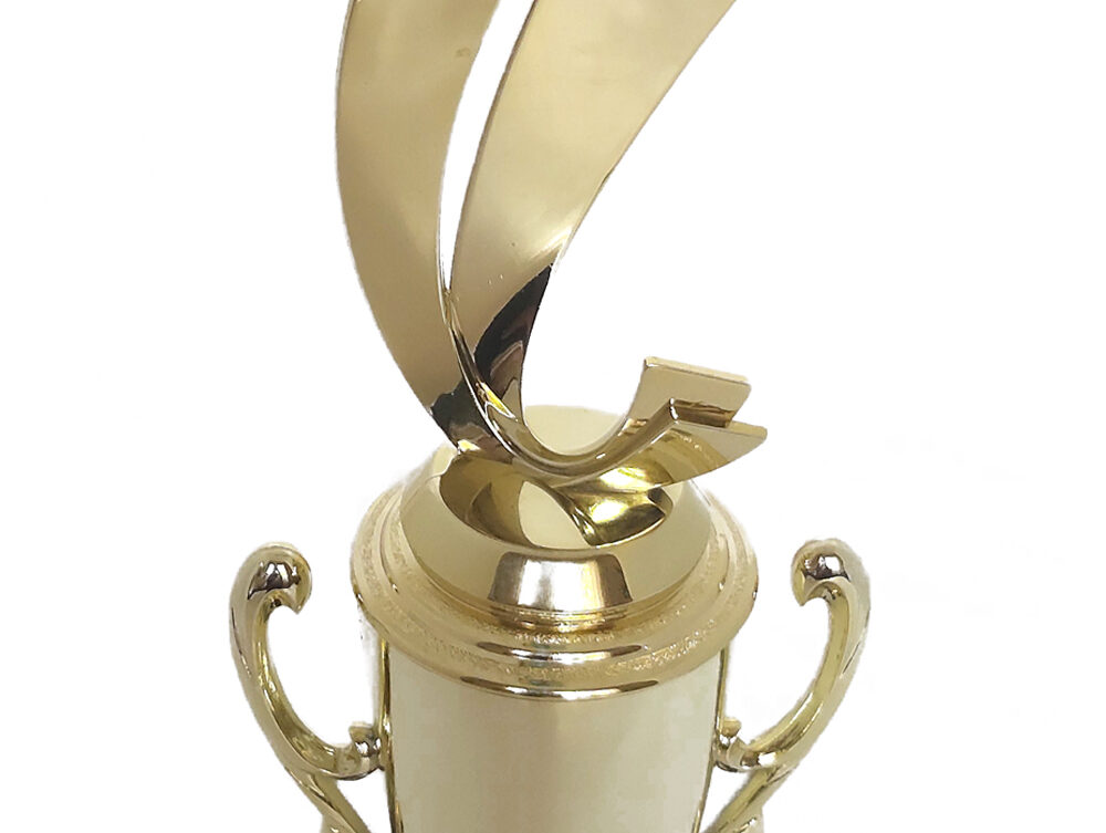 Soccer Sport Scene Trophy 350mm